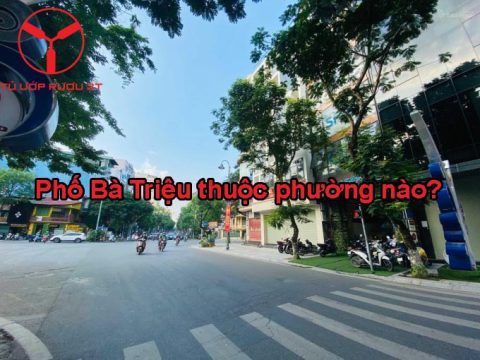 [2023] Phố Bà Triệu thuộc phường nào quận nào của Hà Nội?
